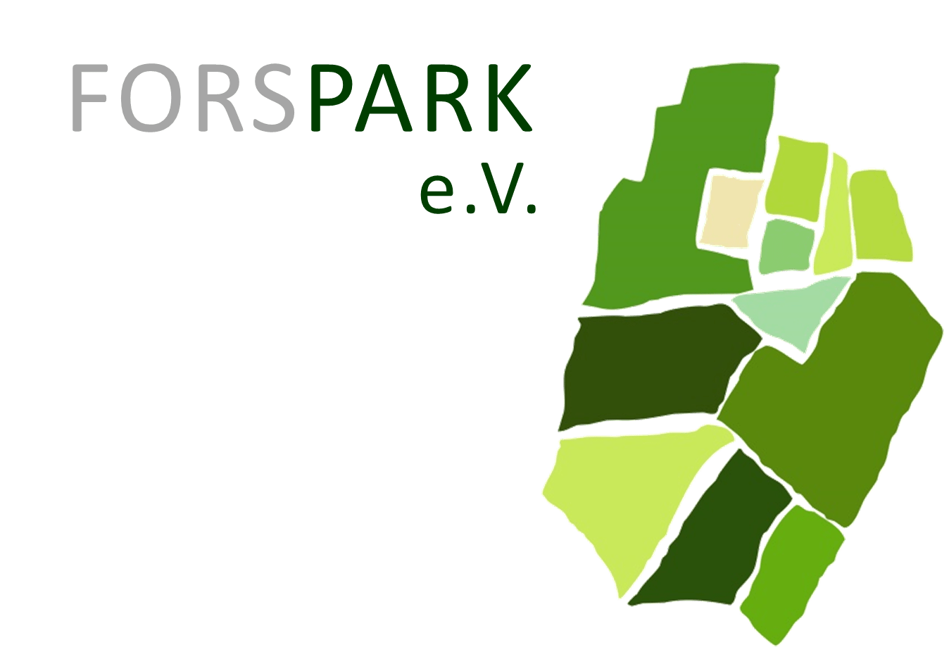 logo_forspark_eV